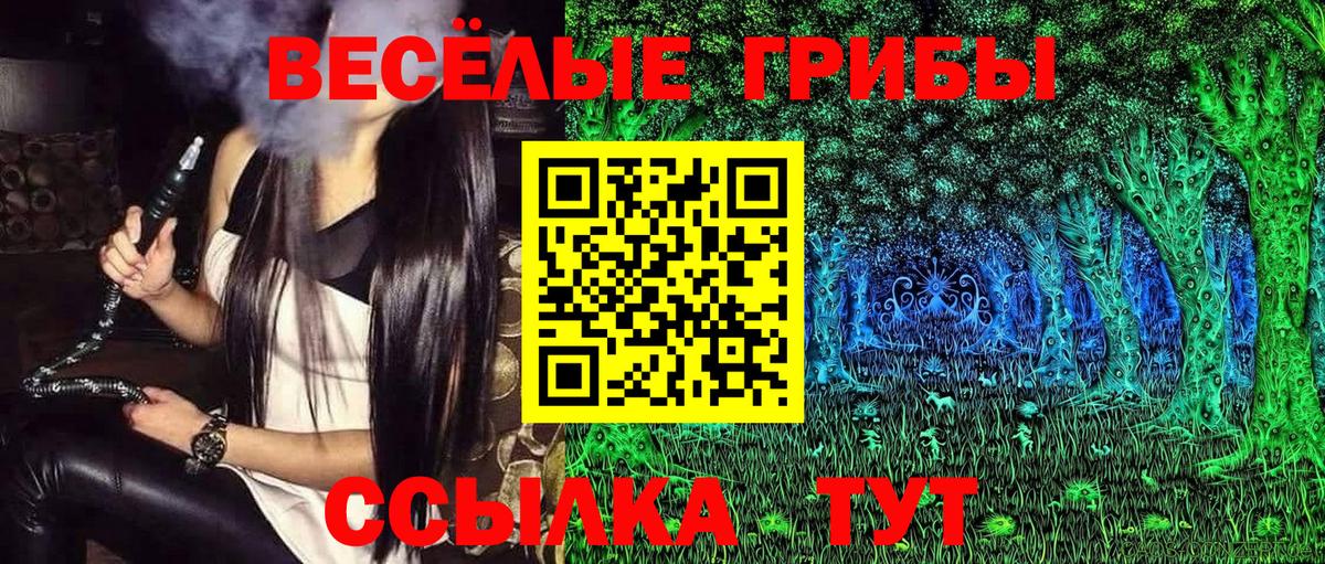 Псилоцибиновые грибы прущие грибы  Вход с VPN  Галлюциногенные грибы Psilocybine cubensis  Новочебоксарск 